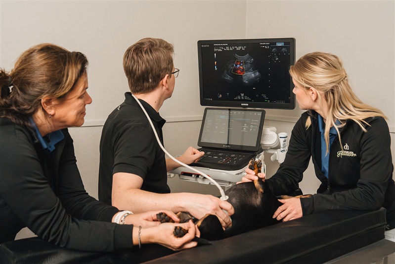 Echografie Dierenkliniek Hellendoorn