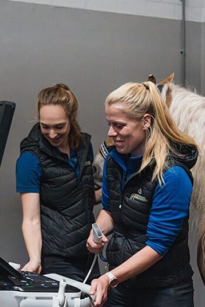 De beste zorg voor jou paard Dierenkliniek Hellendoorn