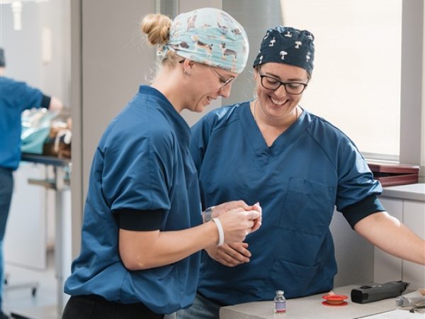 Narcose Dierenkliniek Hellendoorn